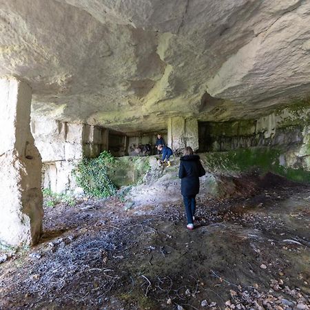 Logis De Bois Roche Villa Saint-Bonnet-sur-Gironde Bagian luar foto