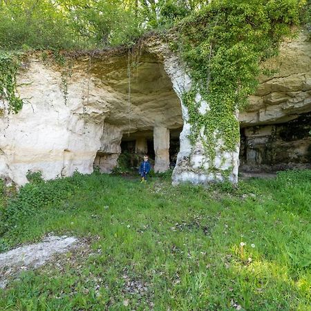 Logis De Bois Roche Villa Saint-Bonnet-sur-Gironde Bagian luar foto