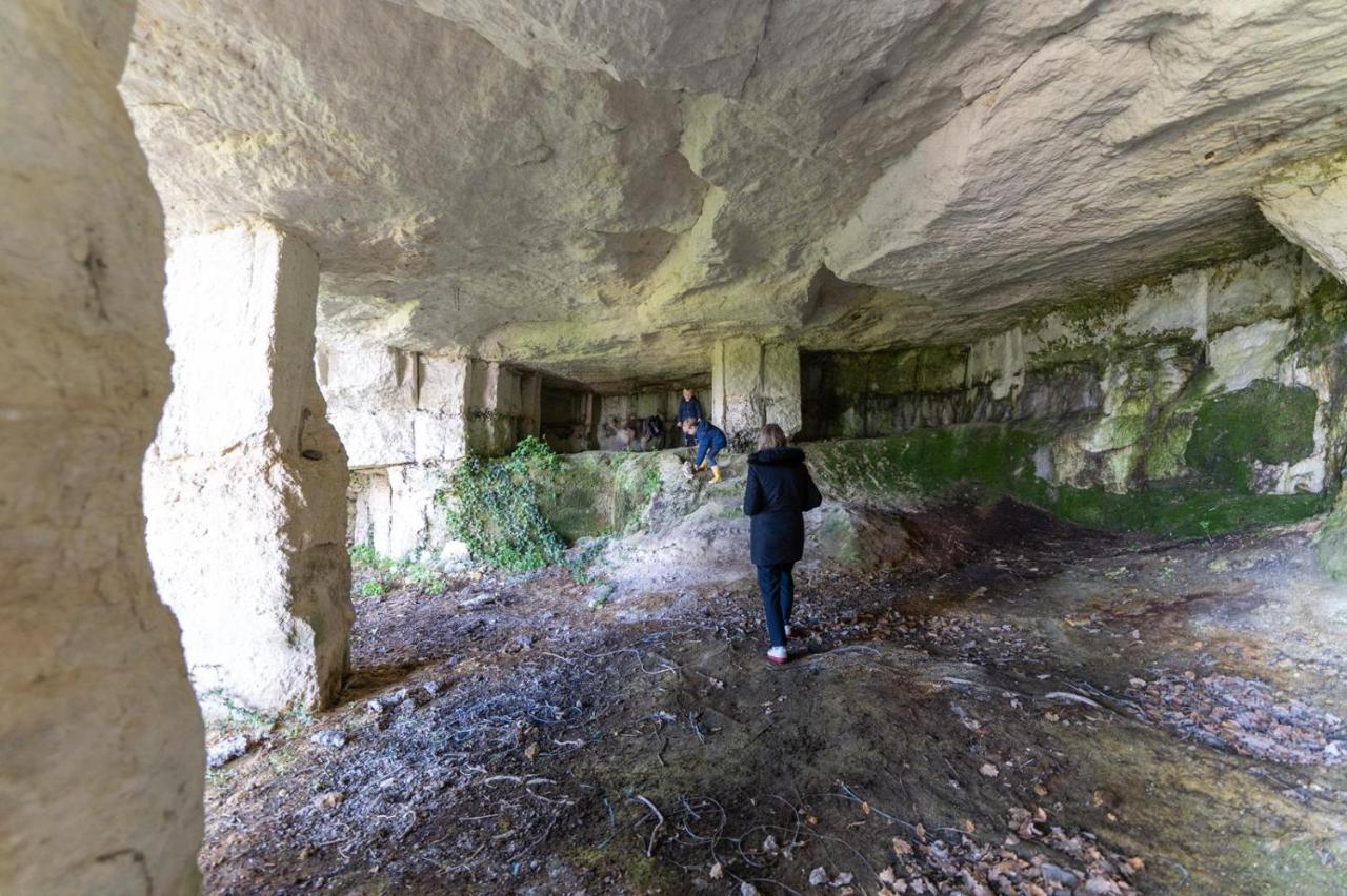 Logis De Bois Roche Villa Saint-Bonnet-sur-Gironde Bagian luar foto