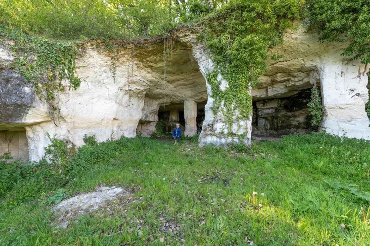Logis De Bois Roche Villa Saint-Bonnet-sur-Gironde Bagian luar foto