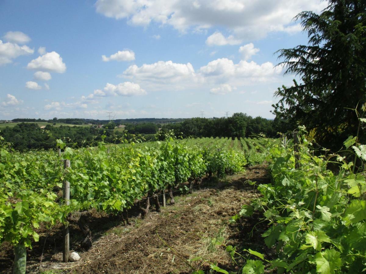 Logis De Bois Roche Villa Saint-Bonnet-sur-Gironde Bagian luar foto