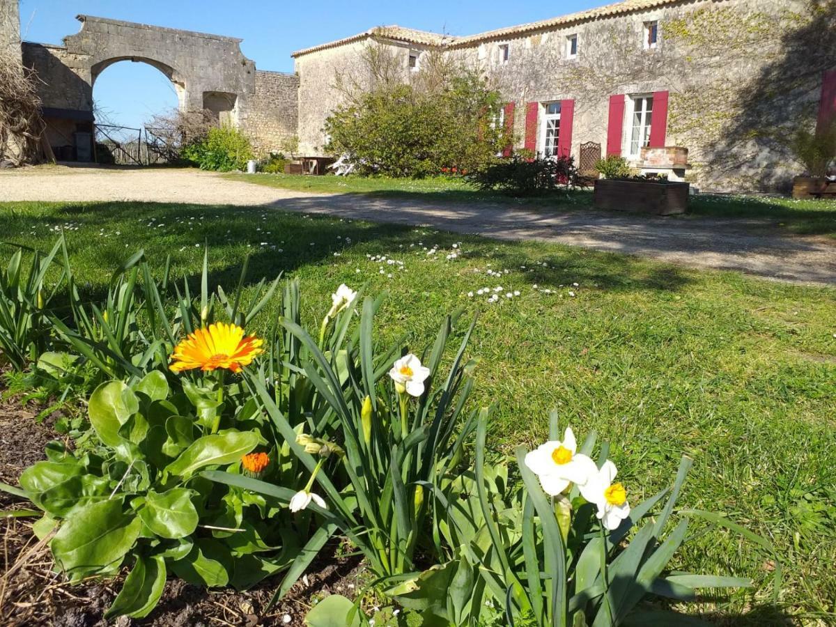 Logis De Bois Roche Villa Saint-Bonnet-sur-Gironde Bagian luar foto