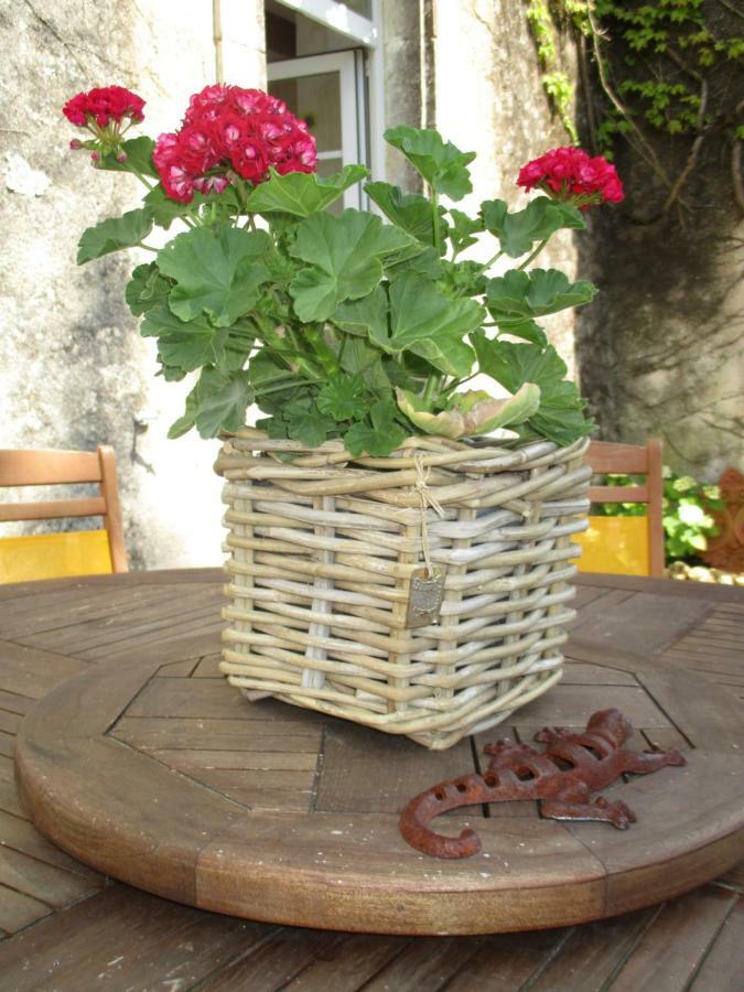 Logis De Bois Roche Villa Saint-Bonnet-sur-Gironde Bagian luar foto