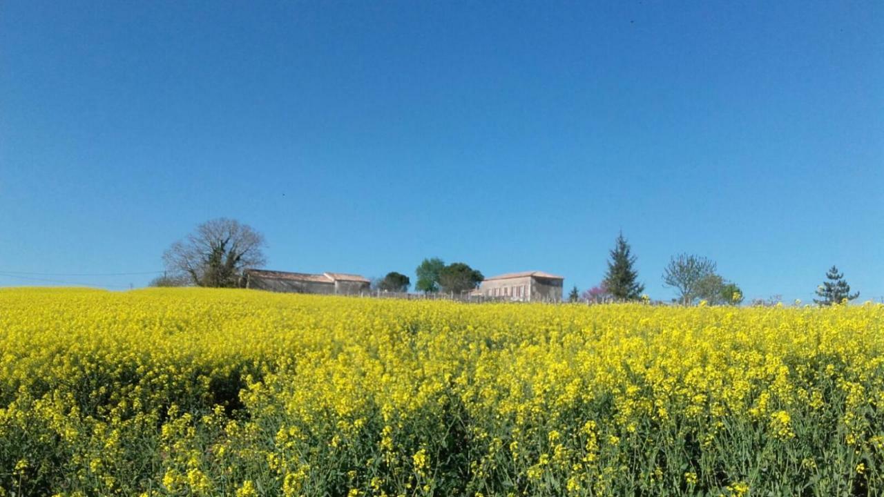 Logis De Bois Roche Villa Saint-Bonnet-sur-Gironde Bagian luar foto