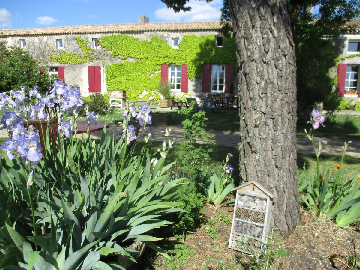 Logis De Bois Roche Villa Saint-Bonnet-sur-Gironde Bagian luar foto